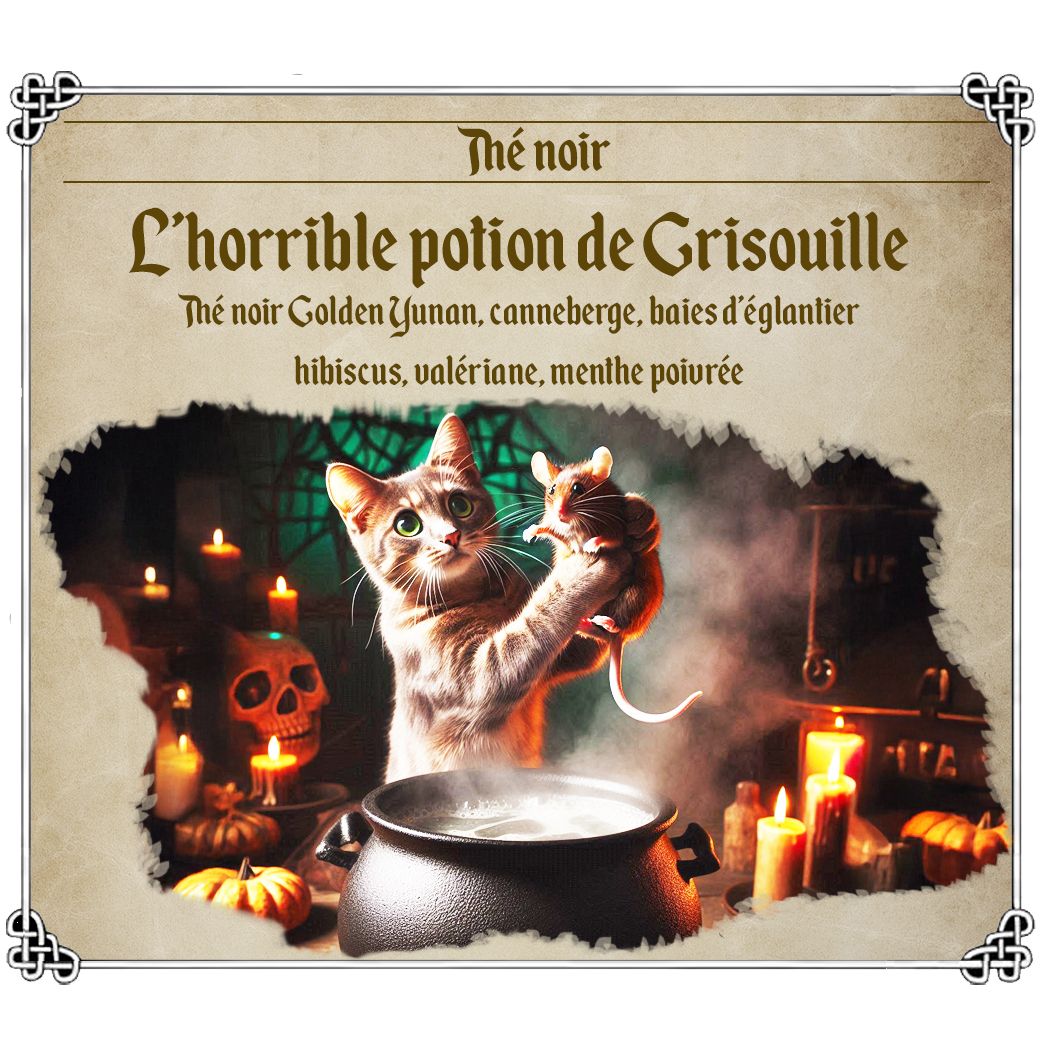 L'horrible potion de Grisouille
