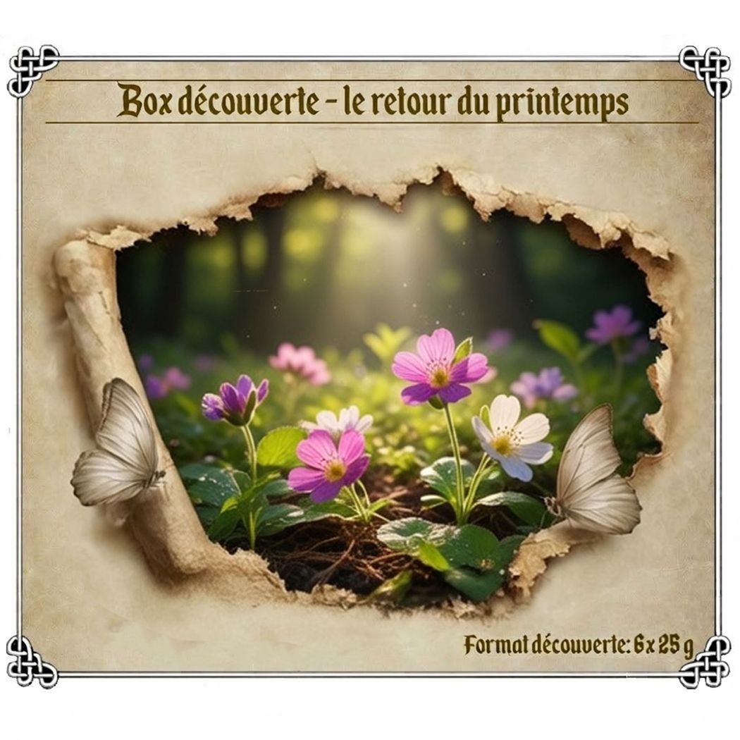 Box découverte - le retour du printemps