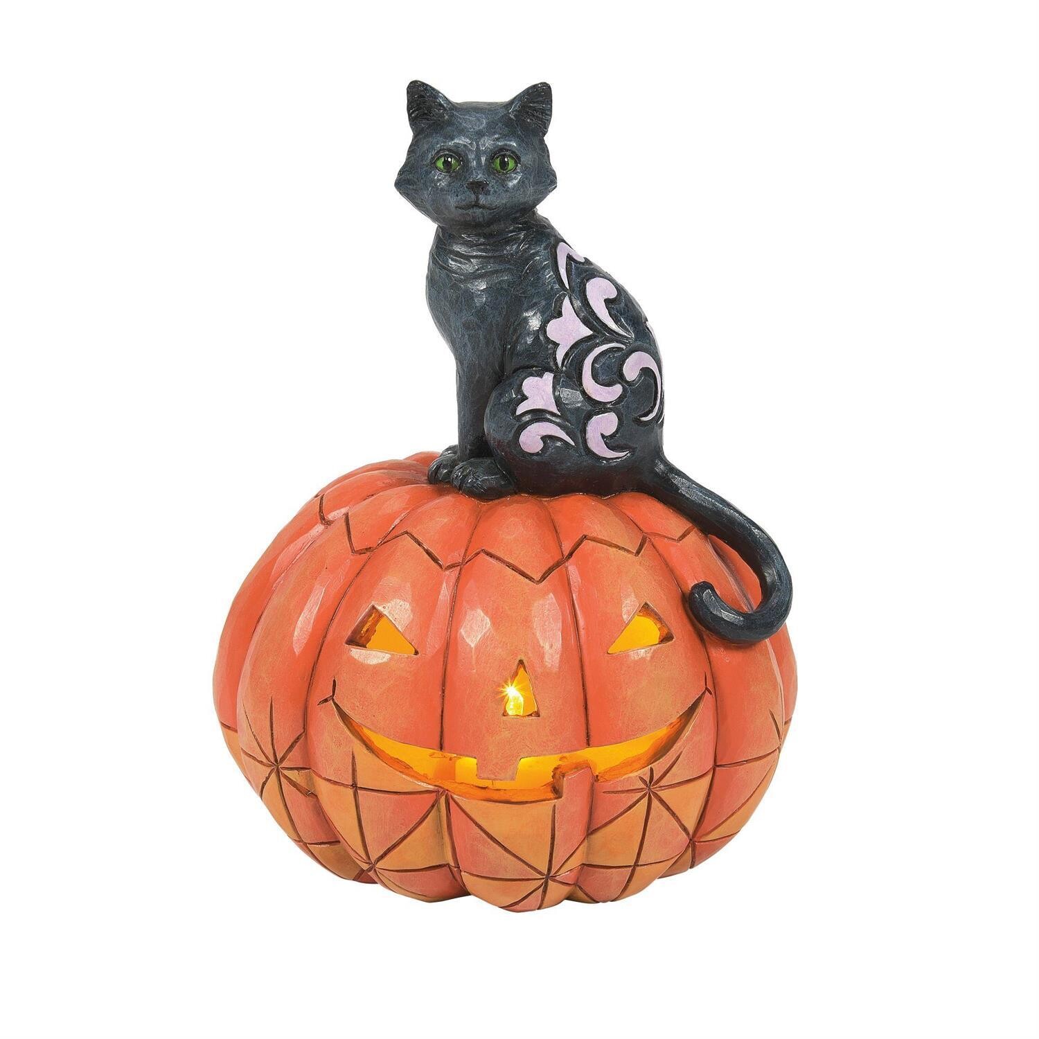 Purr-Fect Pumpkin Black Cat LED Light Up By: Heartwood Jim Shore NEW 2024