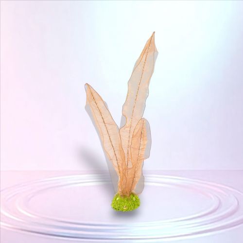 PRE-ORDER 41&quot; Coral Seaweed Display Coastal Decor *SHIPS 3/2026* NEW 2026