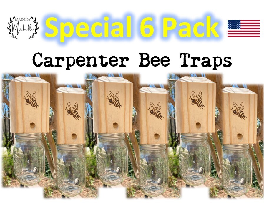 6 Pack - Carpenter Bee Traps