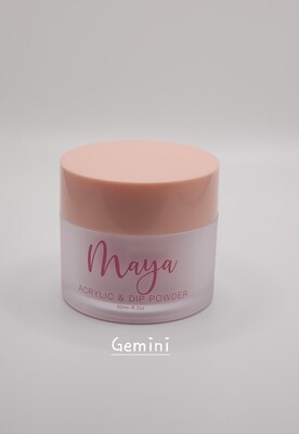  Gimini 