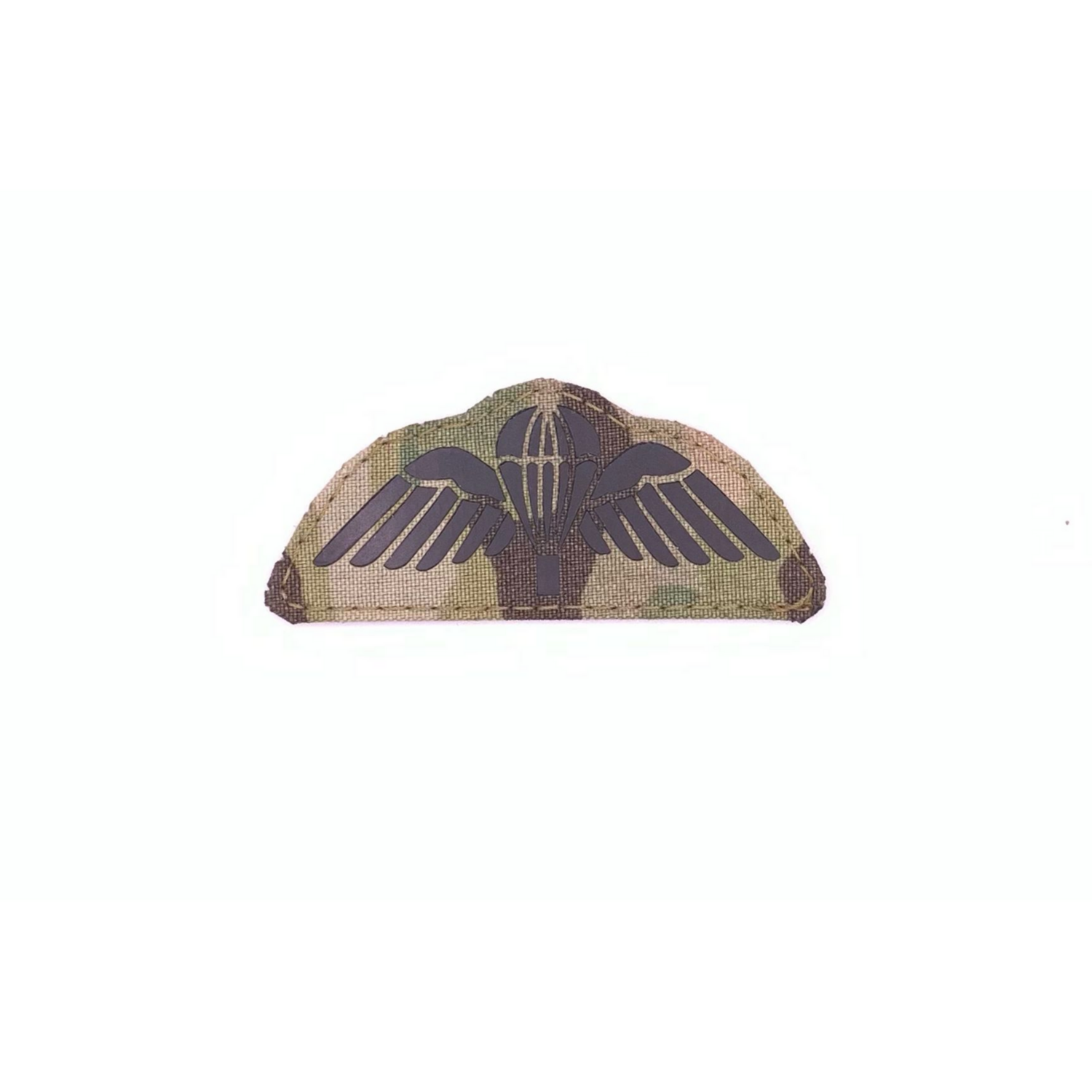Para Wings