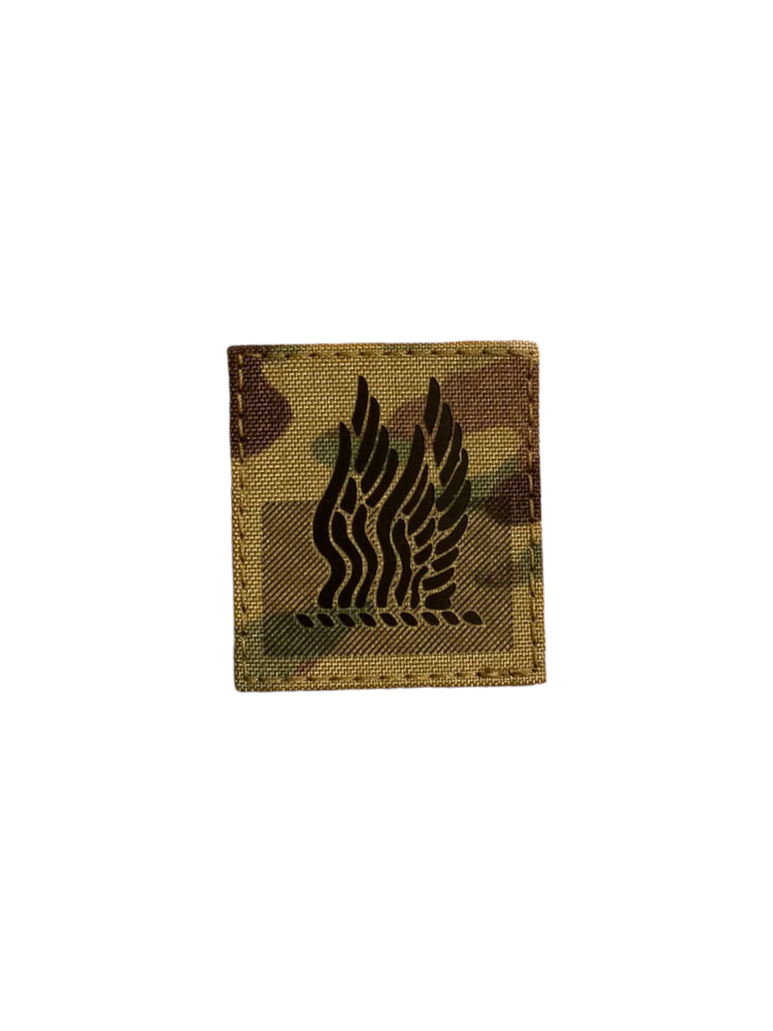 1st aviation Brigade