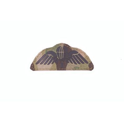 Para Wings Para Wings