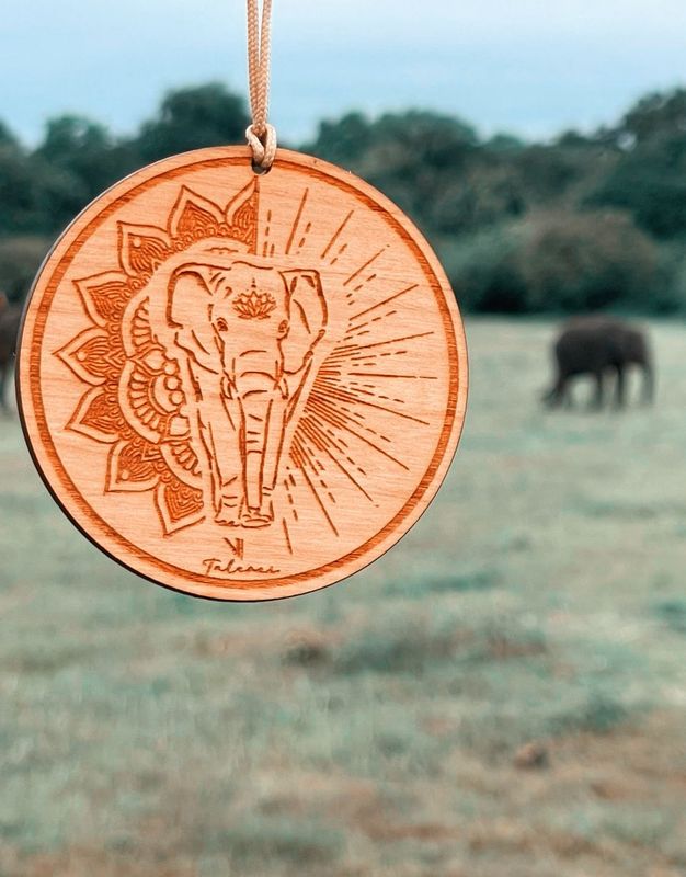 Logo beidseitig - Elefant