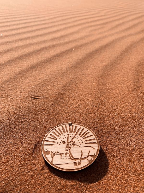 Logo beidseitig - Safari