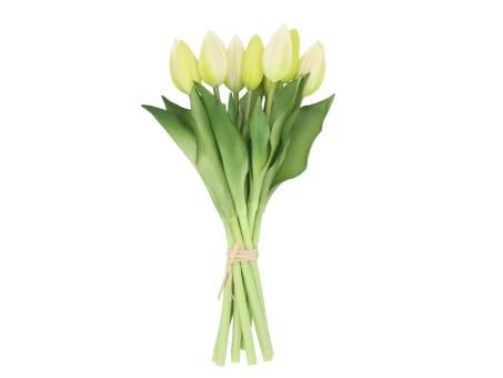 Tulpen Bündel weiß