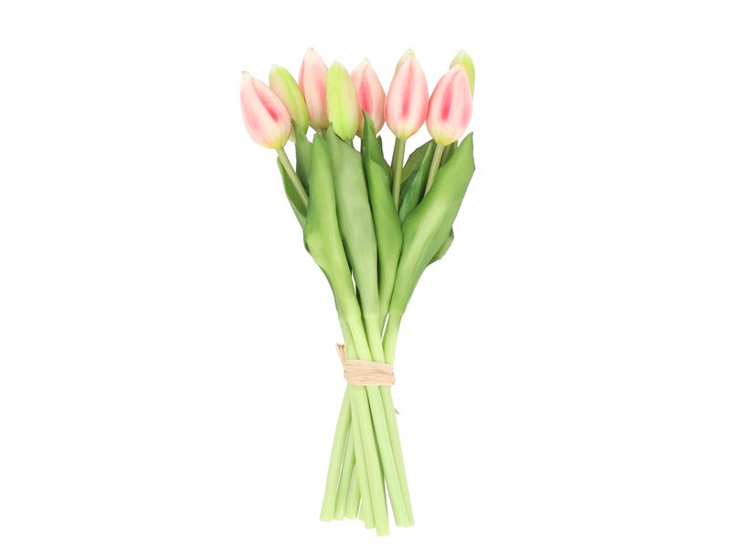 Tulpen Bündel rosa