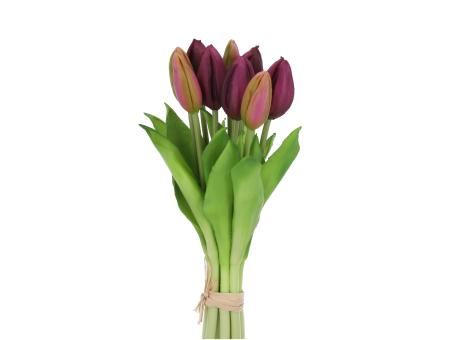 Tulpen Bündel lila