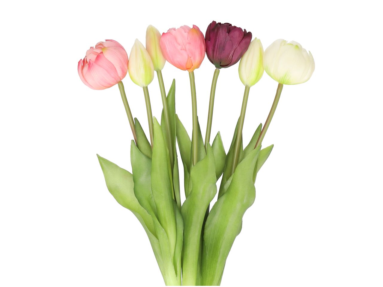 Tulpenmix Bündel