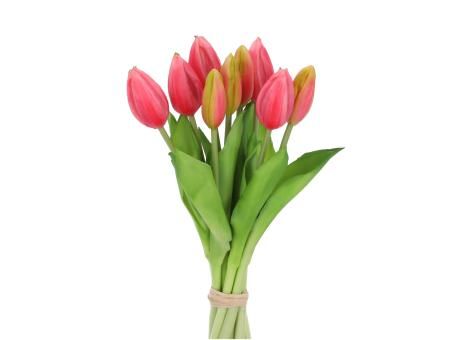 Tulpen Bündel pink