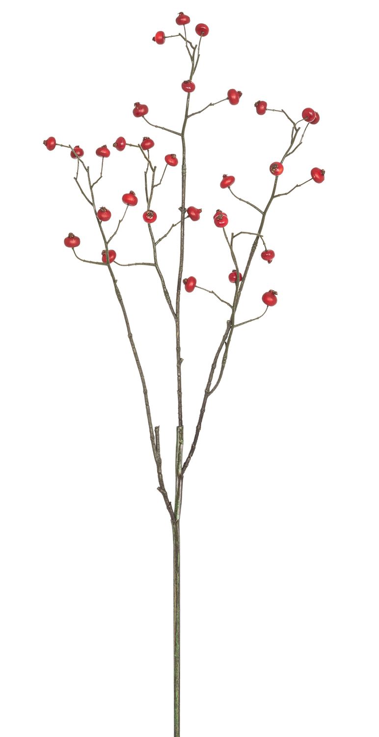 Beerenzweig Farbe rot