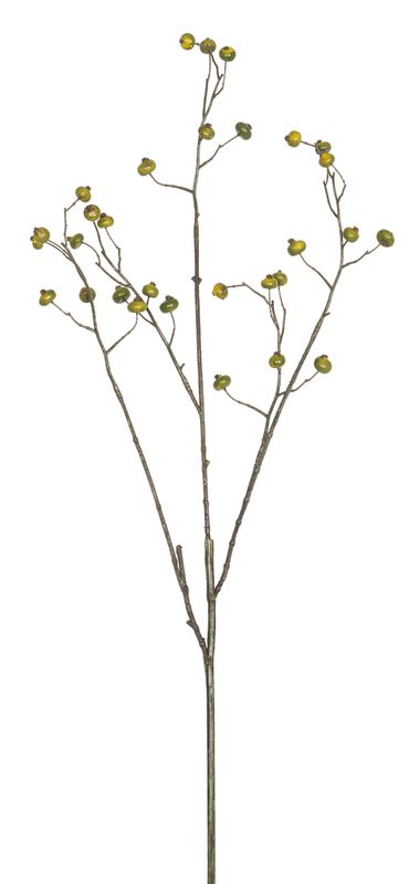 Beerenzweig  Farbe grün
