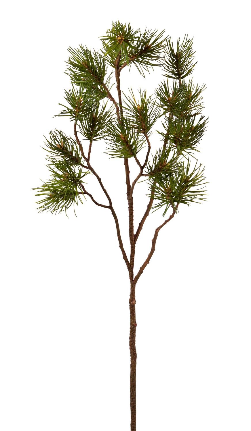 Kiefernzweig 86cm