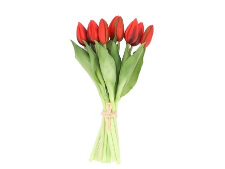 Tulpe Bündel rot
