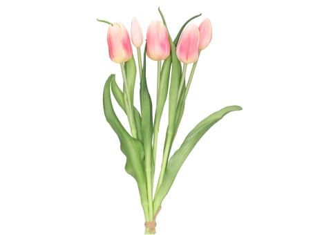 Tulpe realtouch Bund rosa