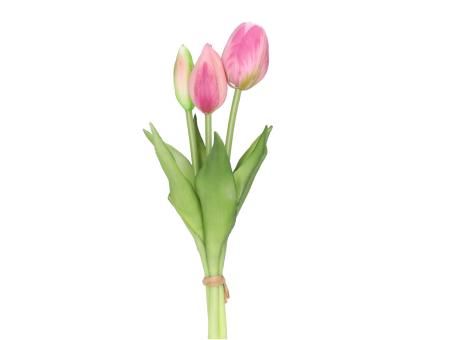 Tulpe Bund 3 Blüten rosa