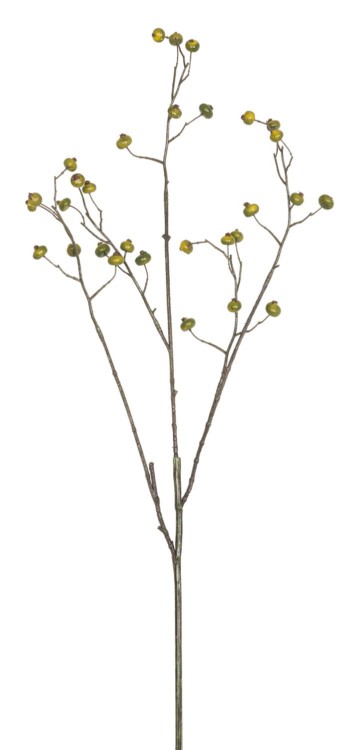 Beerenzweig  Farbe grün