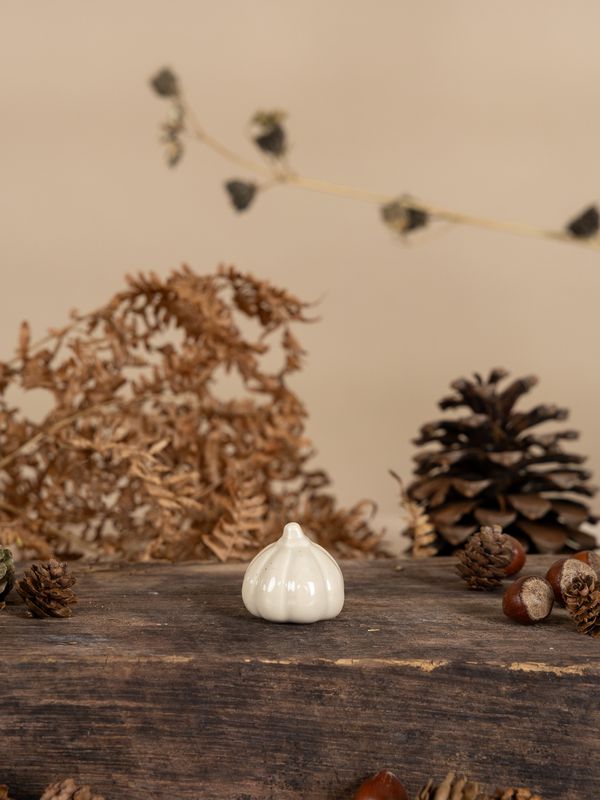 TRANEBO Small vanilla decoration