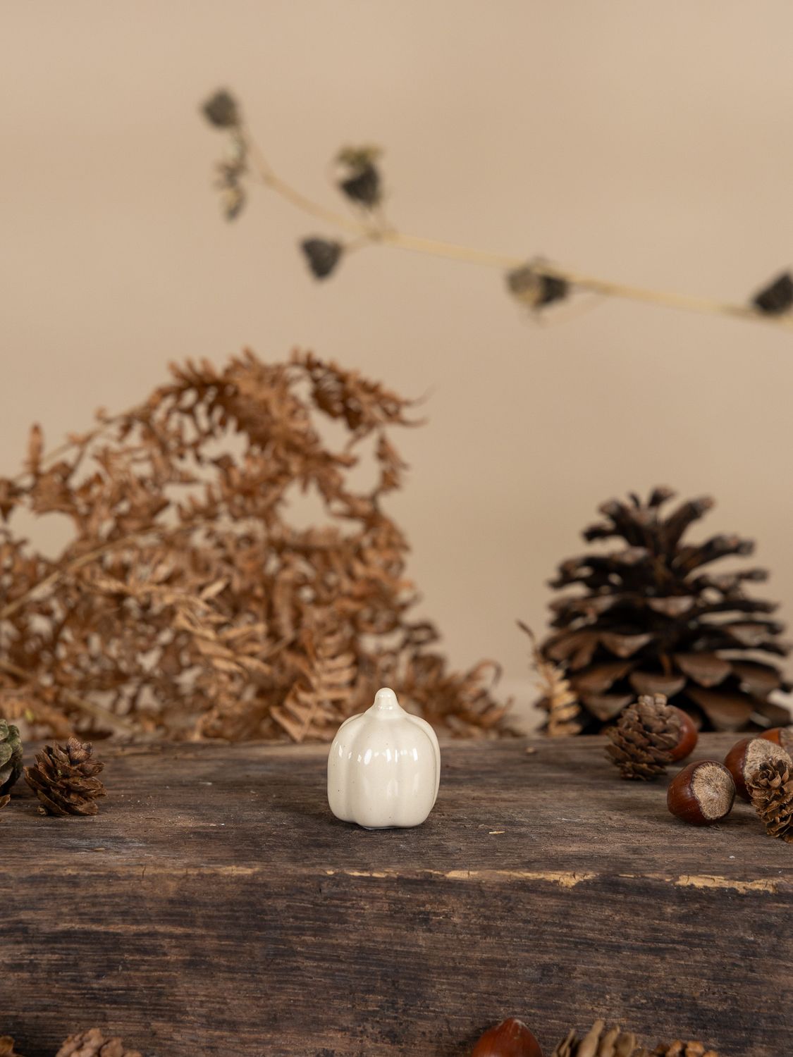TRANEBO Mini vanilla decoration