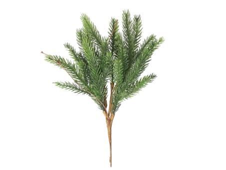 Pinienpick