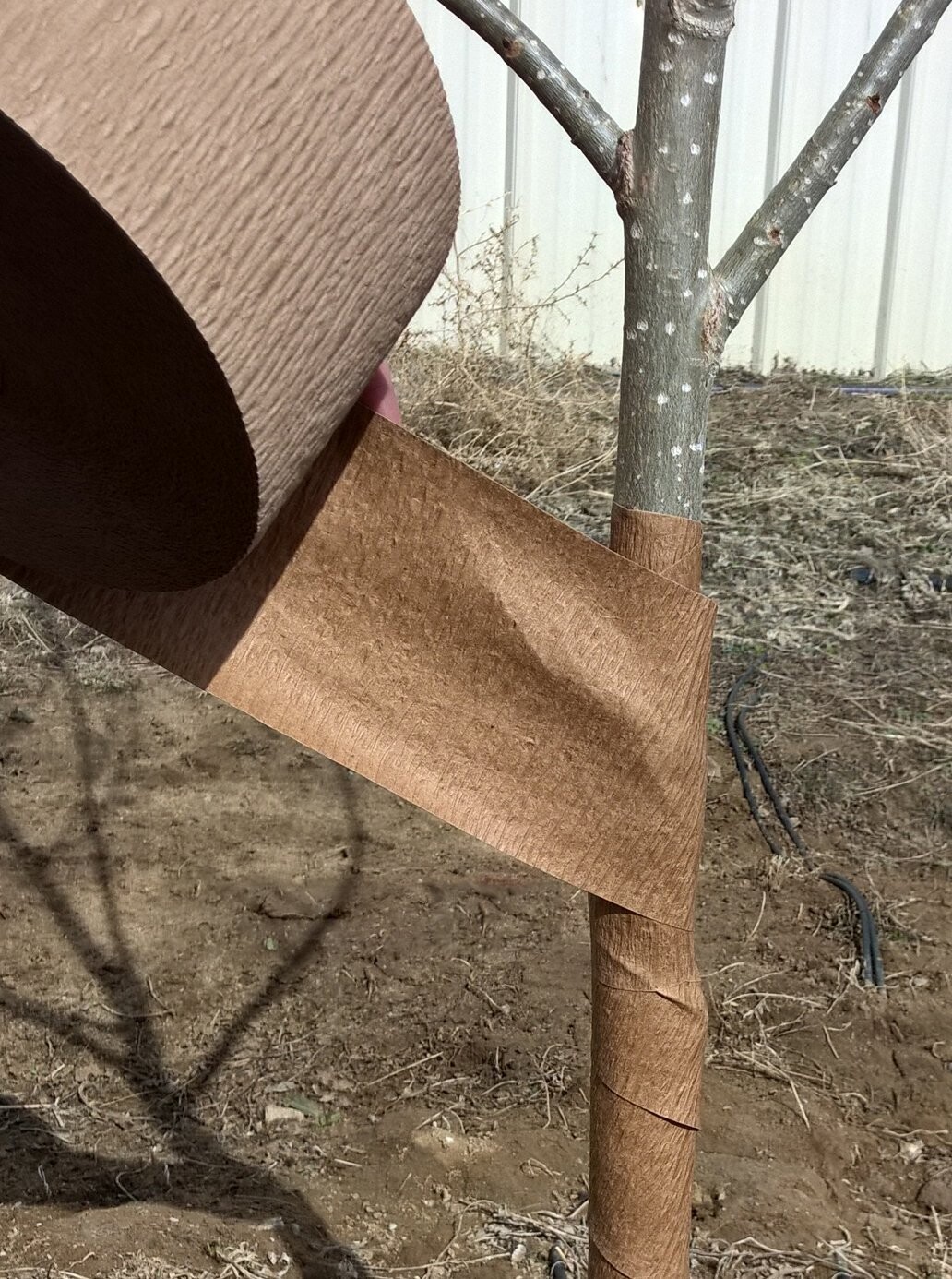 Paper Tree Wrap 3 in. X 150 ft.