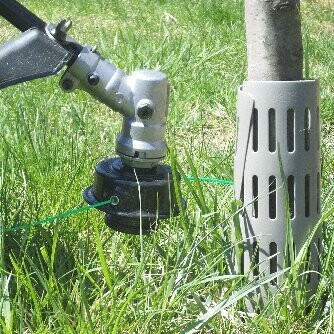 Tree Trunk Protectors