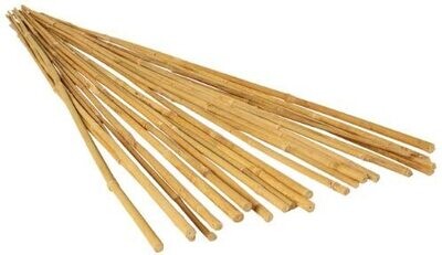 Natural Untreated Bamboo Stakes - 2 ft. X 6-8mm (5/16