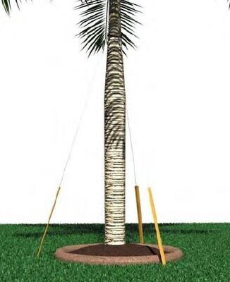 Gripple® Palm Bracing Kit "40ft trees"