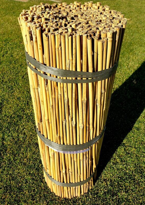 Natural Untreated Bamboo Stakes - 2 ft. X 6-8mm (5/16 Natural Untreated Bamboo Stakes - 2 ft. X 6-8mm (5/16"), qty 500