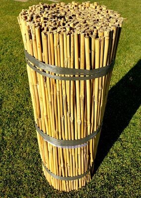 Natural Untreated Bamboo Stakes - 2 ft. X 6-8mm (5/16"), qty 500