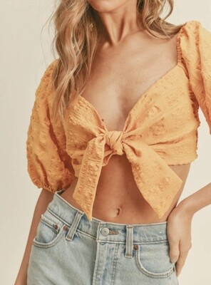Marigold Cropped Tie Front Top