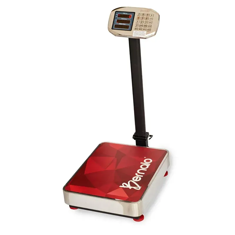 BÁSCULA PEDESTAL BERNALO ACERO  300 KG