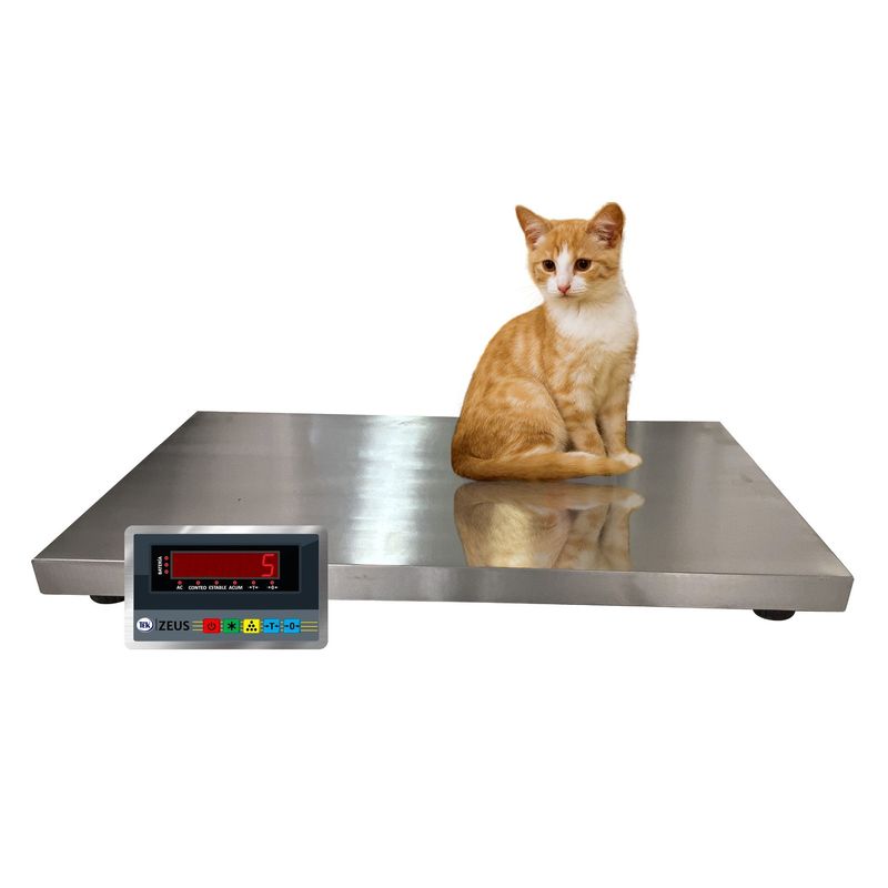 BÁSCULA VETERINARIA ACERO 200KG BÁSCULA VETERINARIA ACERO 200KG