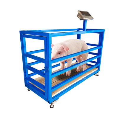 BÁSCULA PORCINERA 400KG