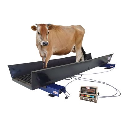 PLANCHON GANADERO PLANCHON GANADERO