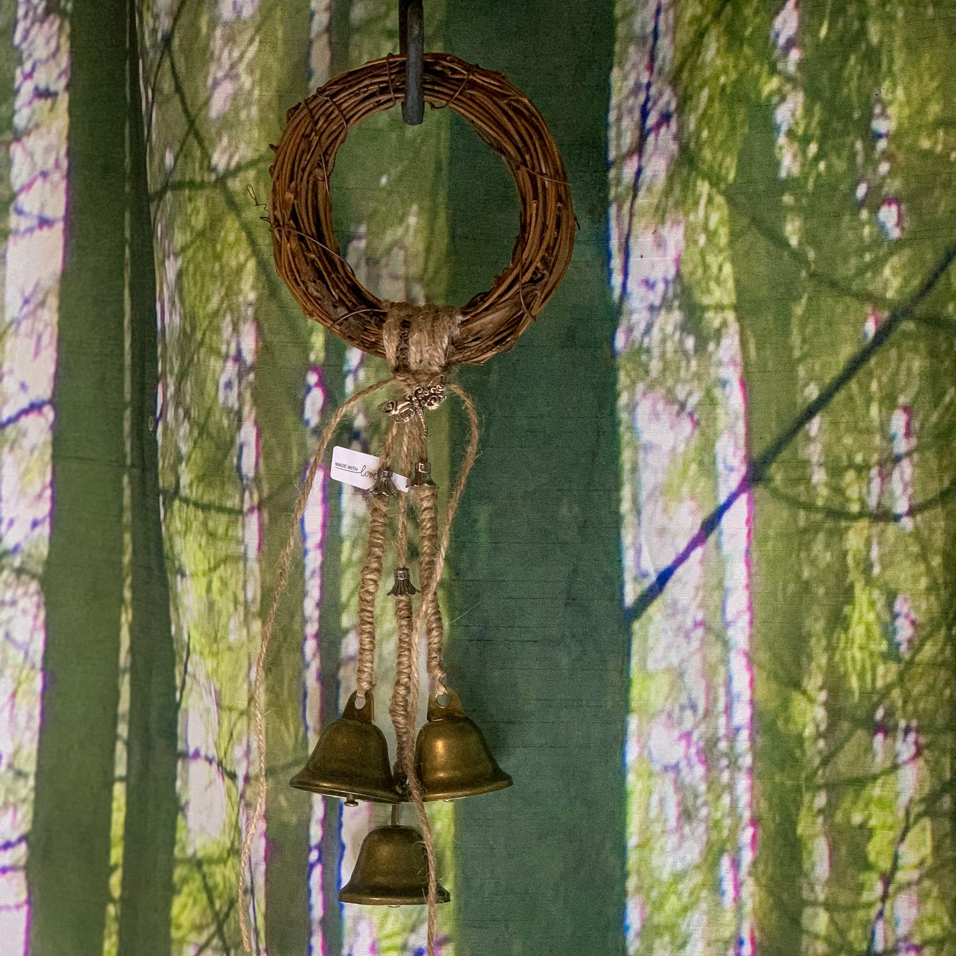 Hexenglöckchen Libelle