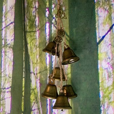 Hexenglöckchen & Sonnenfänger