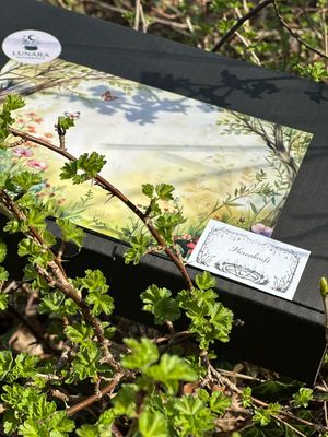 Lunara Witchbox April Hexenkraft