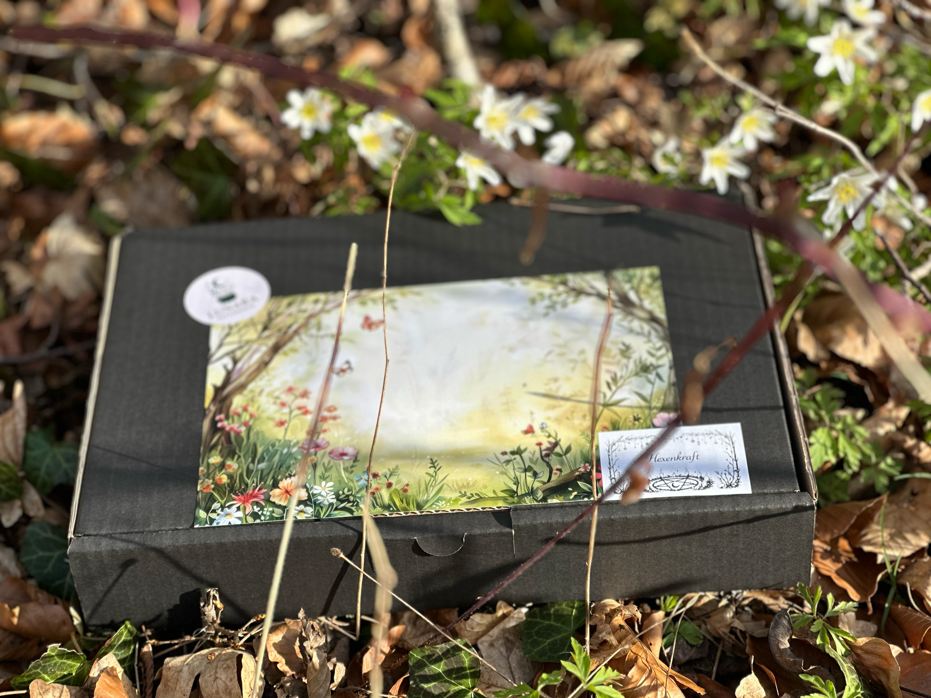 Lunara Witchbox April Hexenkraft