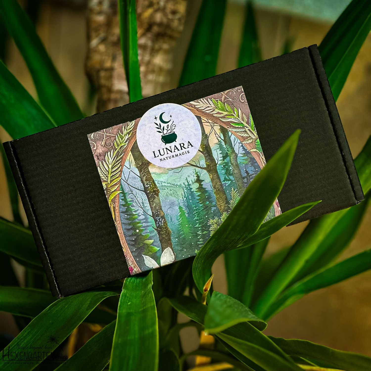 Juli Witchbox – Schütze deine Energie. Finde deine Wahrheit.