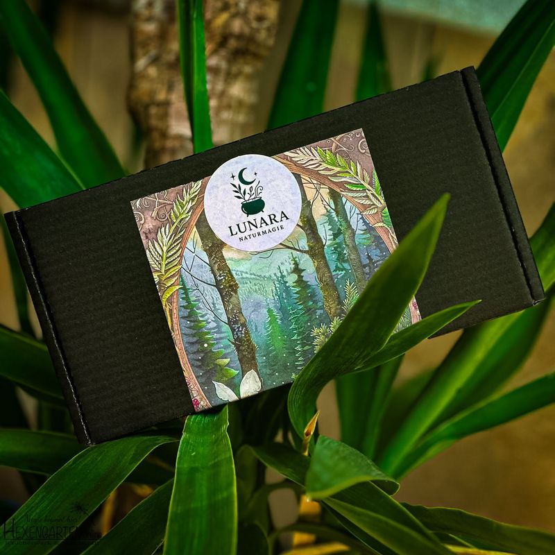 Juli Witchbox – Schütze deine Energie. Finde deine Wahrheit.