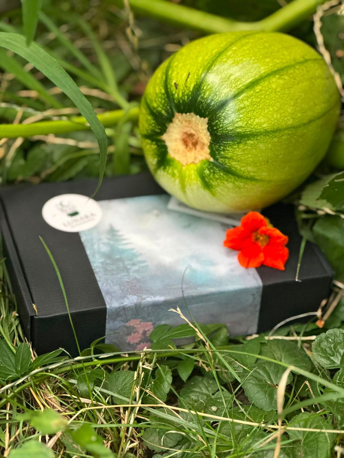 September Witchbox – Mabon – Balance & Dankbarkeit September Witchbox – Mabon – Balance & Dankbarkeit