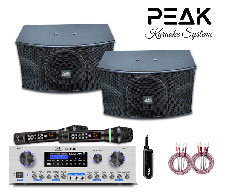 PEAK Karaoke Platinum Bluetooth System (5000W) PKSYS004 Amplifier