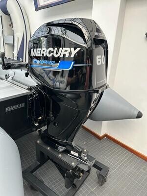 Mercury 60 4T a caña