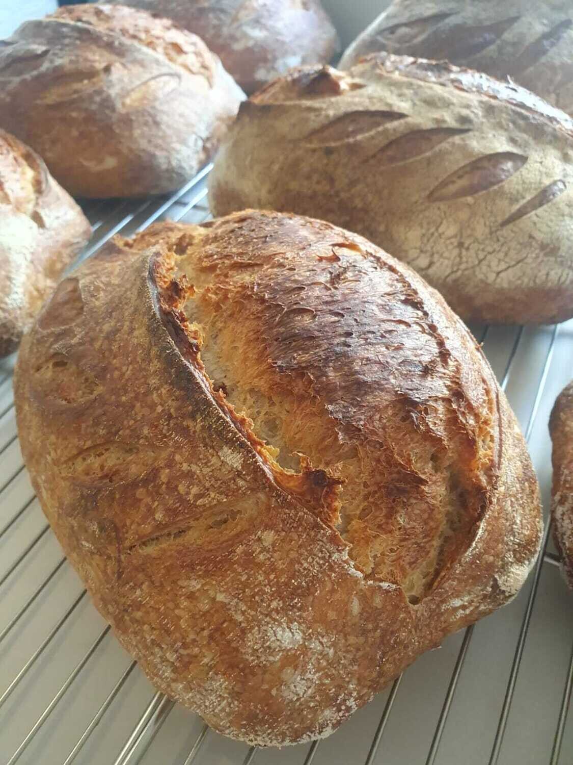 The Olive &amp; Walnut