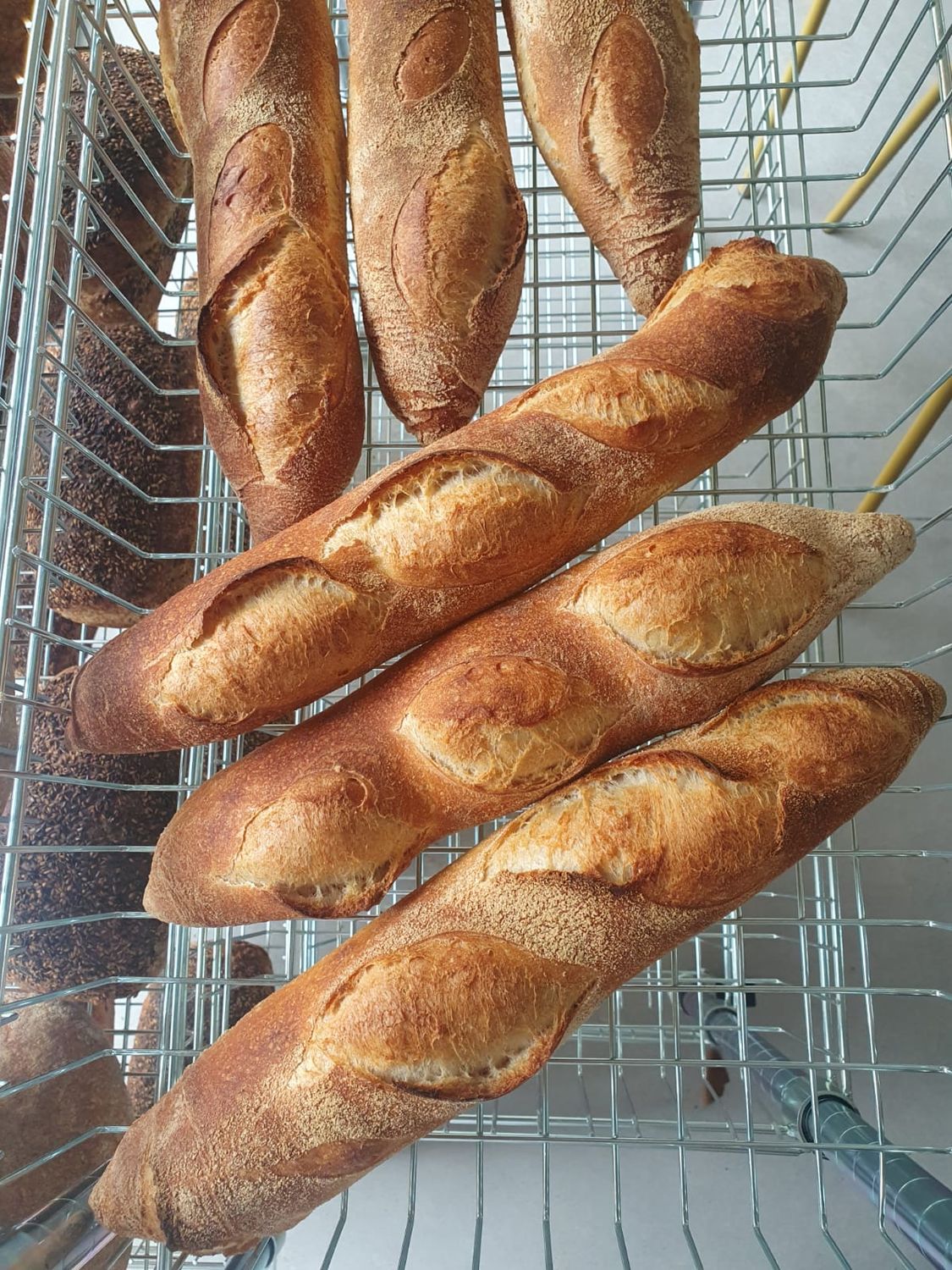 Baguettes Traditionnelles Au Levain