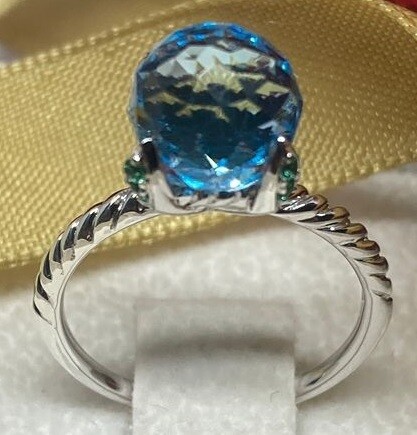 Geodesic Orb Ring