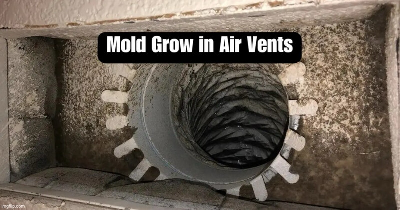 Air Duct Mold Testing